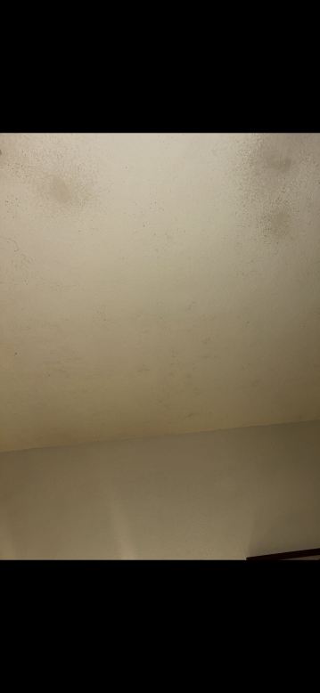 希尔顿欢朋酒店-拉法叶-旅行者