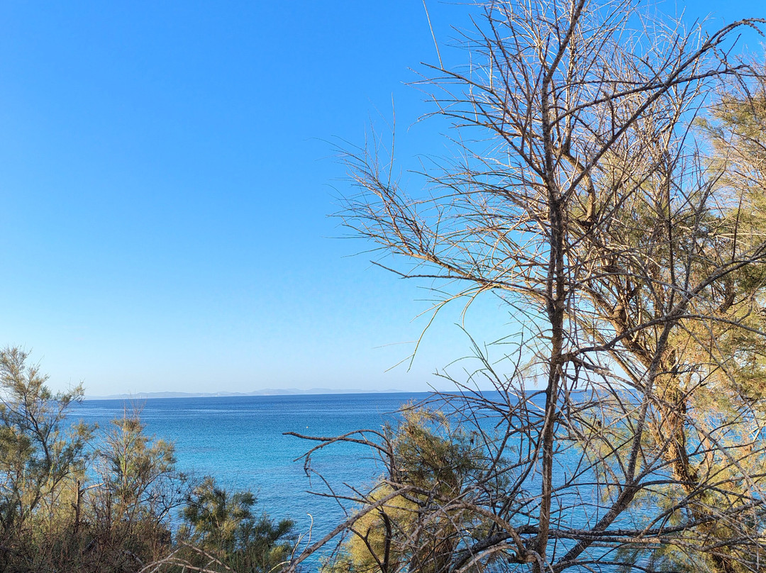 Gaviota - Emar Hotels Adults Only主图