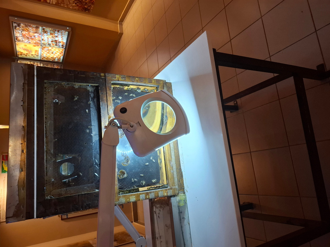 Bee Museum-Pastida必去景点