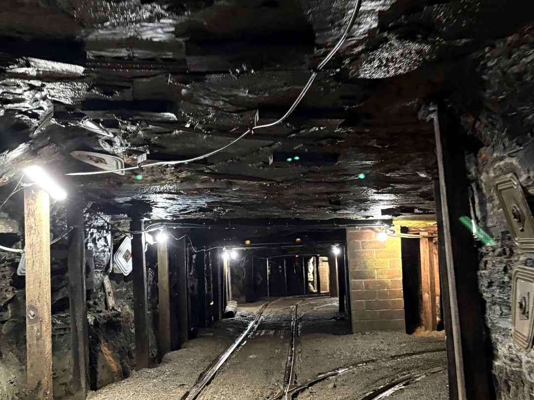 Beckley Exhibition Coal Mine and Youth Museum-Beckley必去景点