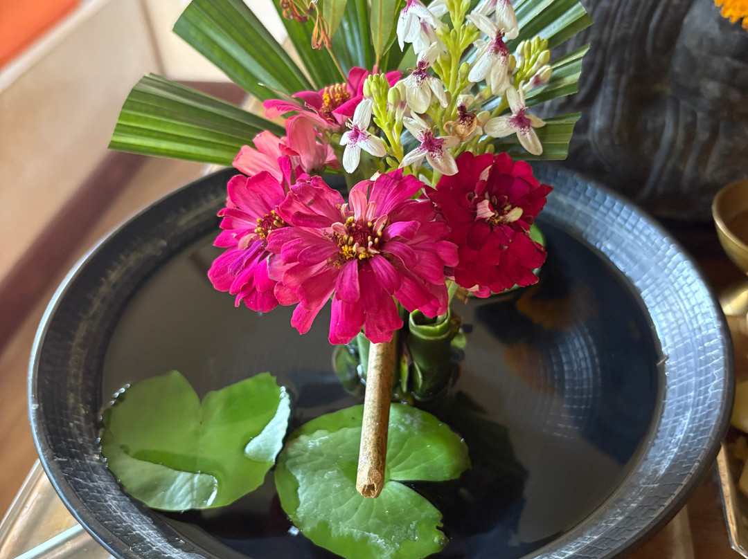 Amrtasiddhi Ayurvedic Center-乌布必去景点