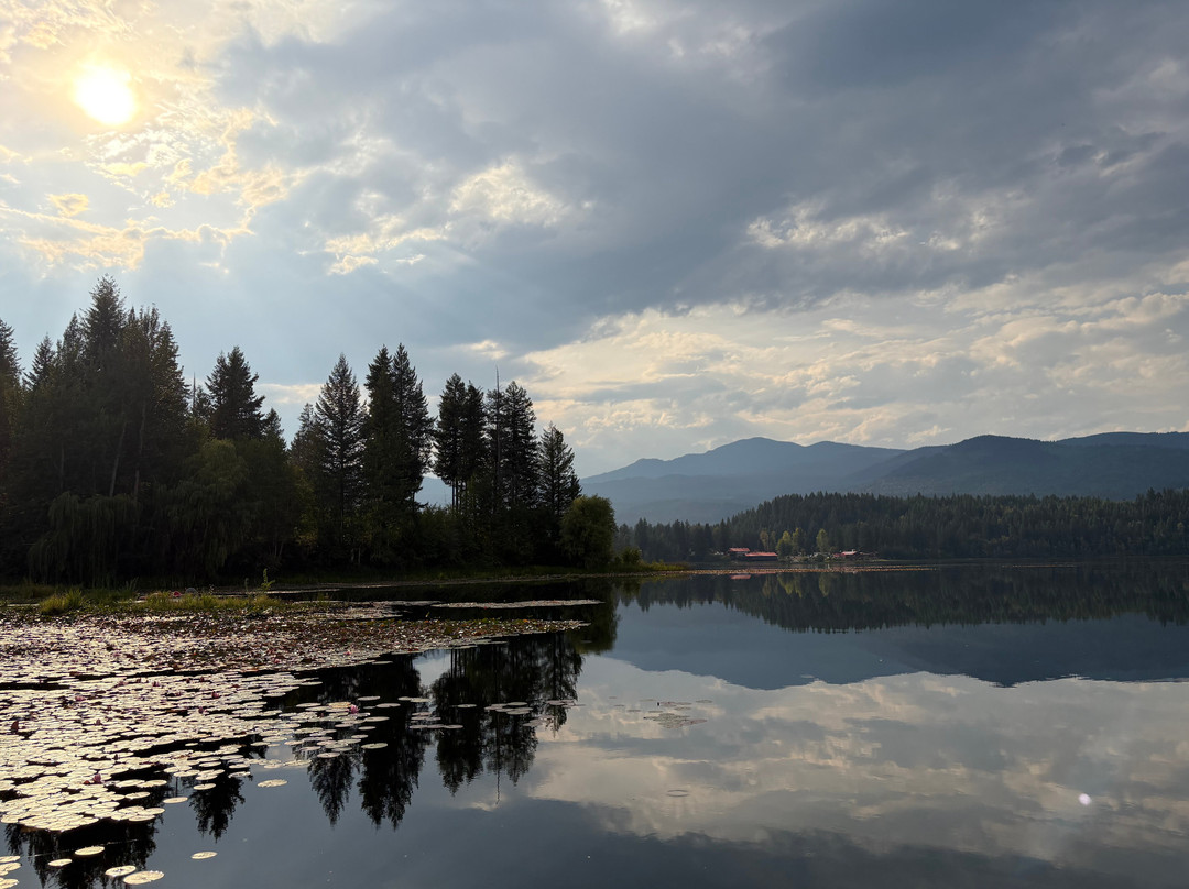 The Lake House主图