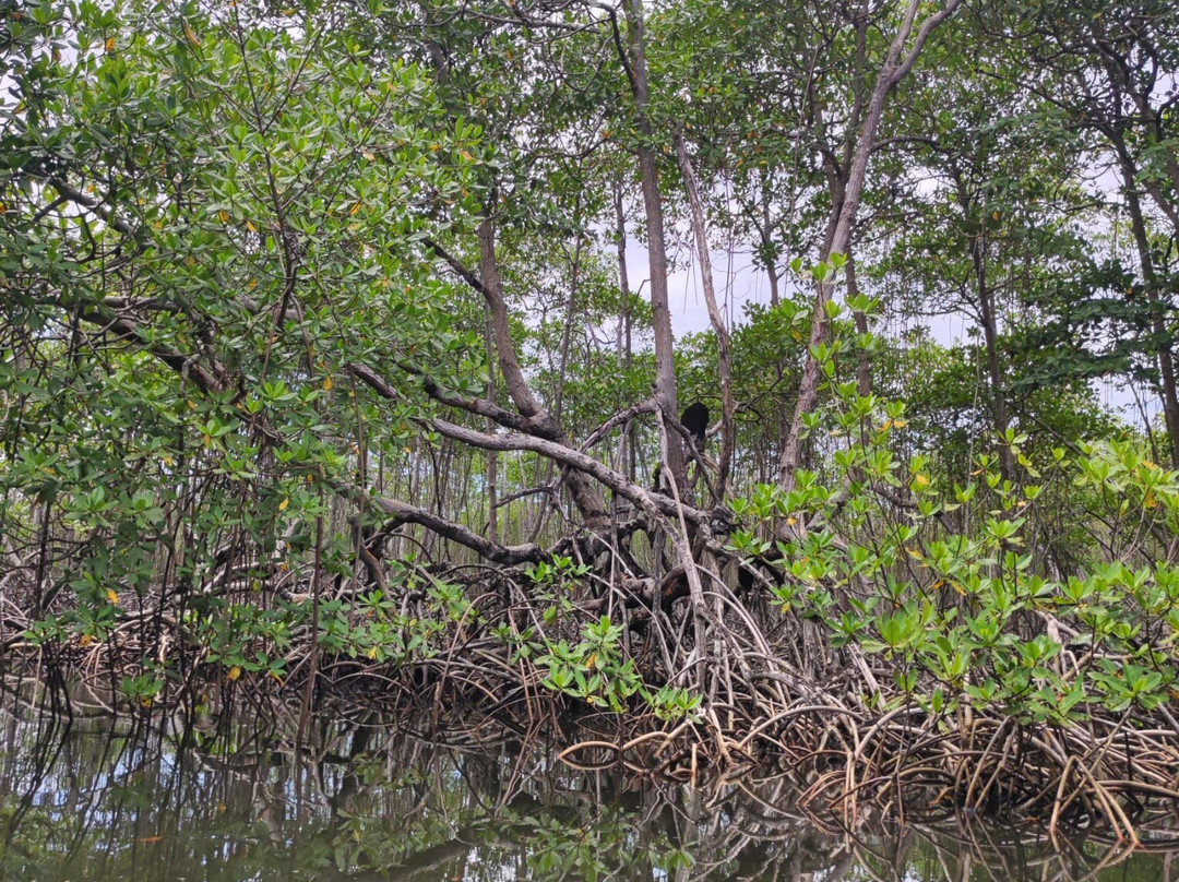 Booking Adventures-Sabana de la Mar必去景点