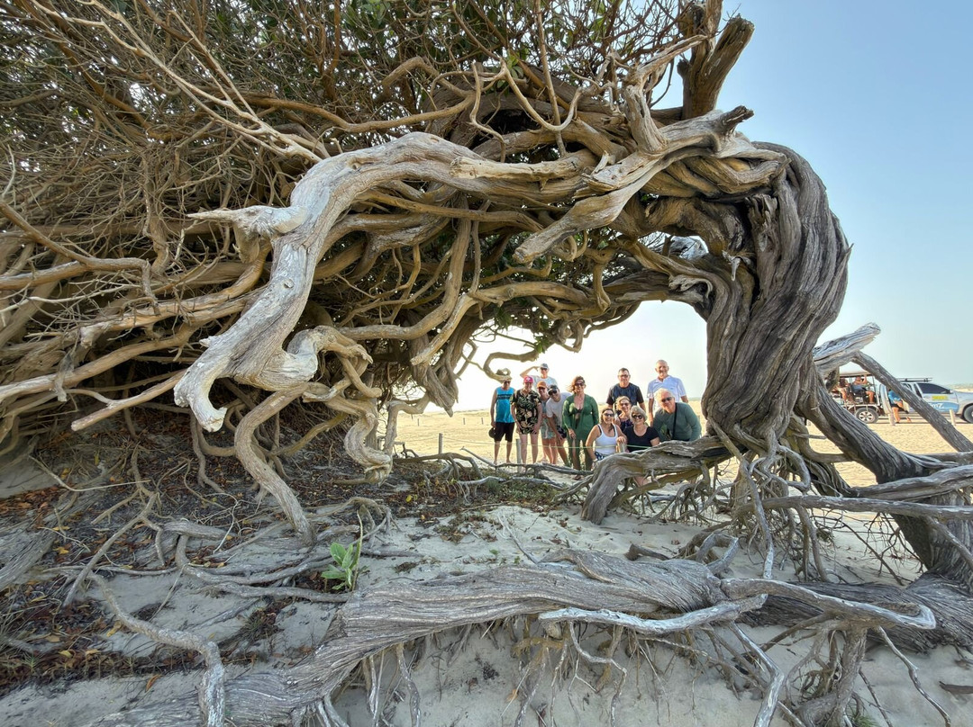 Jericoacoara Beach-杰里科科拉必去景点