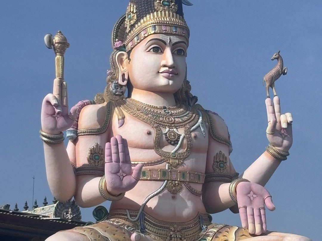 Taxi Kandy AGS Tours Sri Lanka-康提必去景点