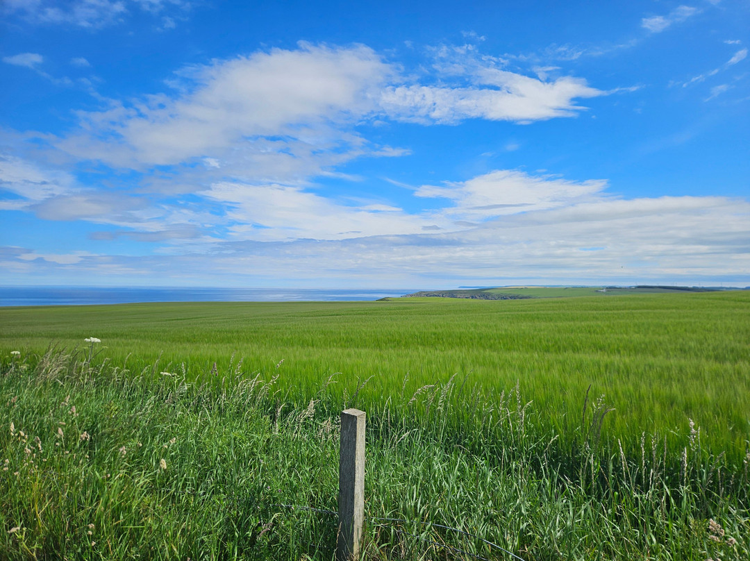Findlater Castle-Cullen必去景点