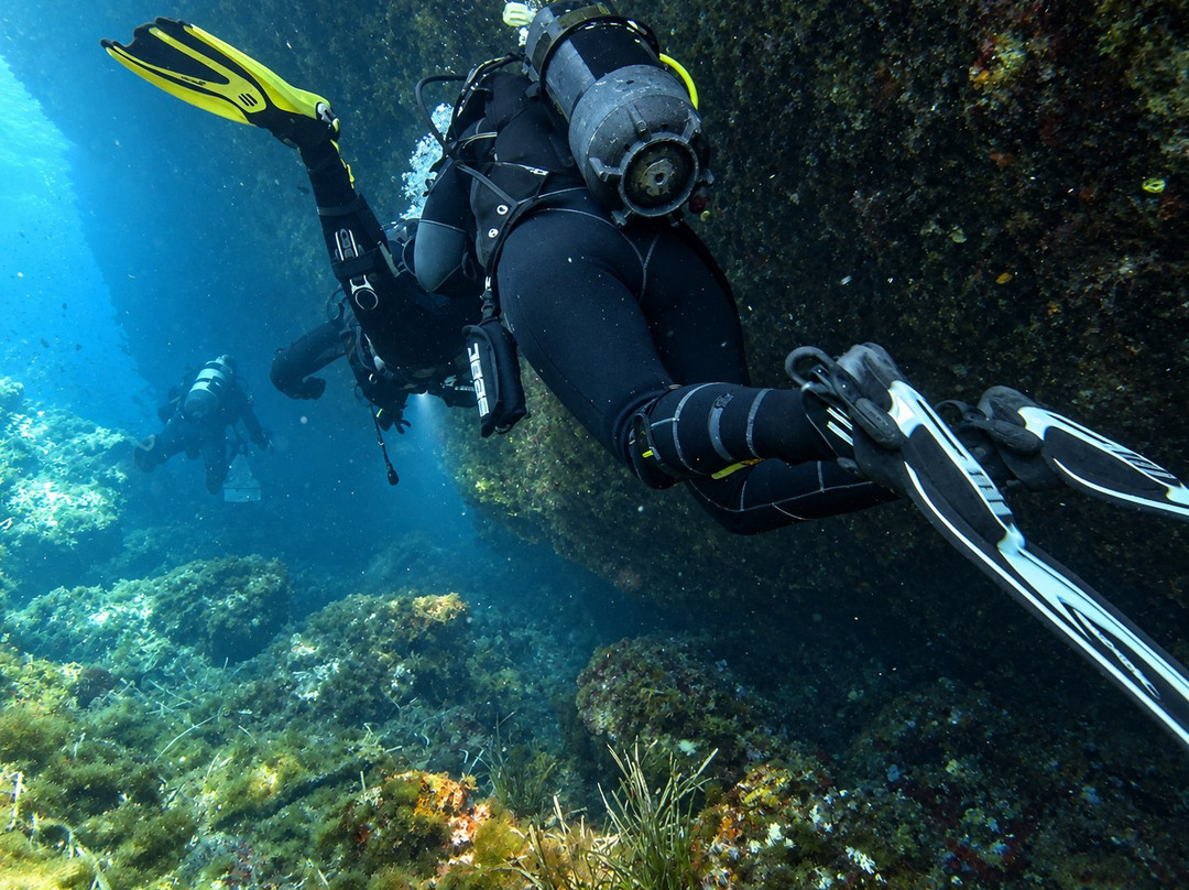 Blu Tek Diving-Marettimo必去景点