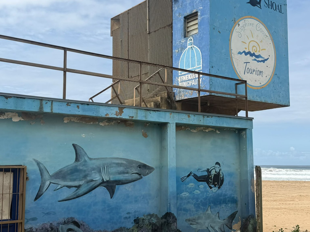 Agulhas House & Diving主图