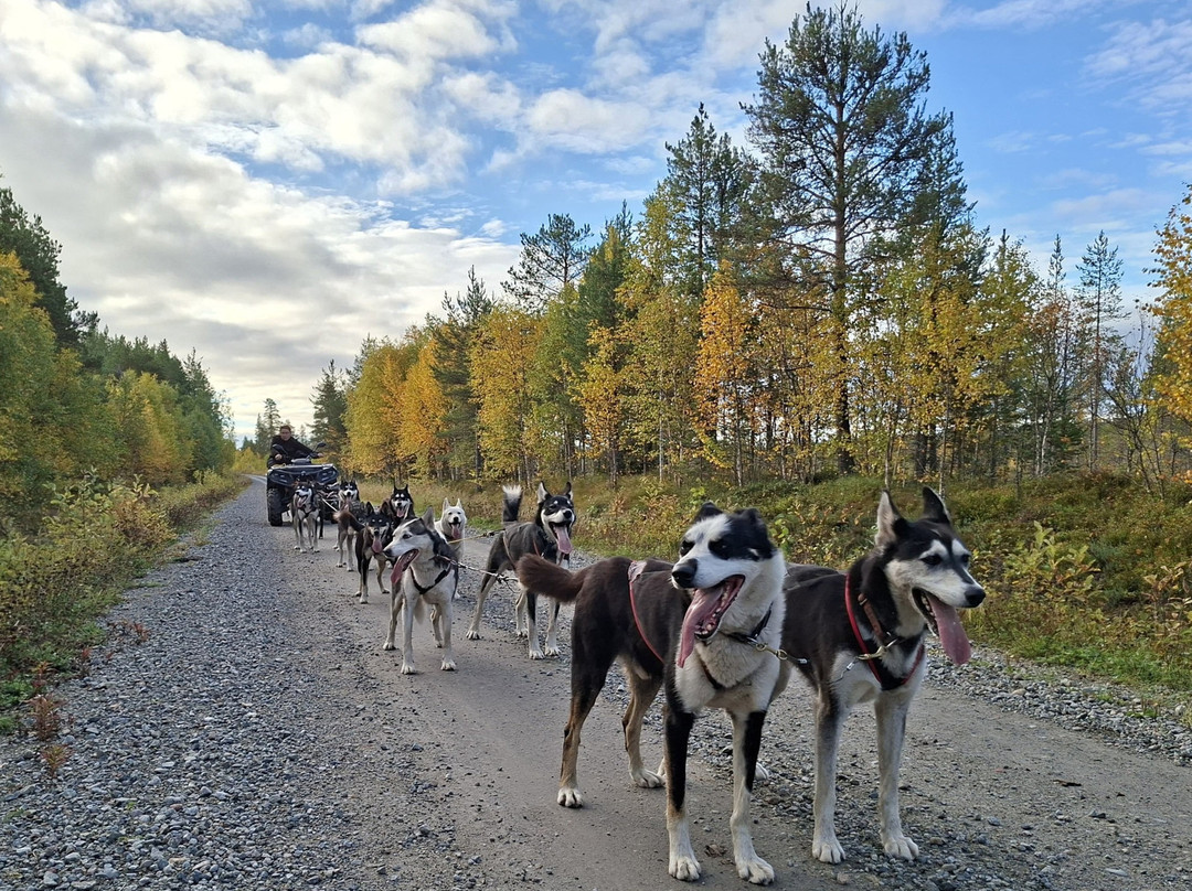 Lapplands Drag - Day Tours-Blattnicksele必去景点