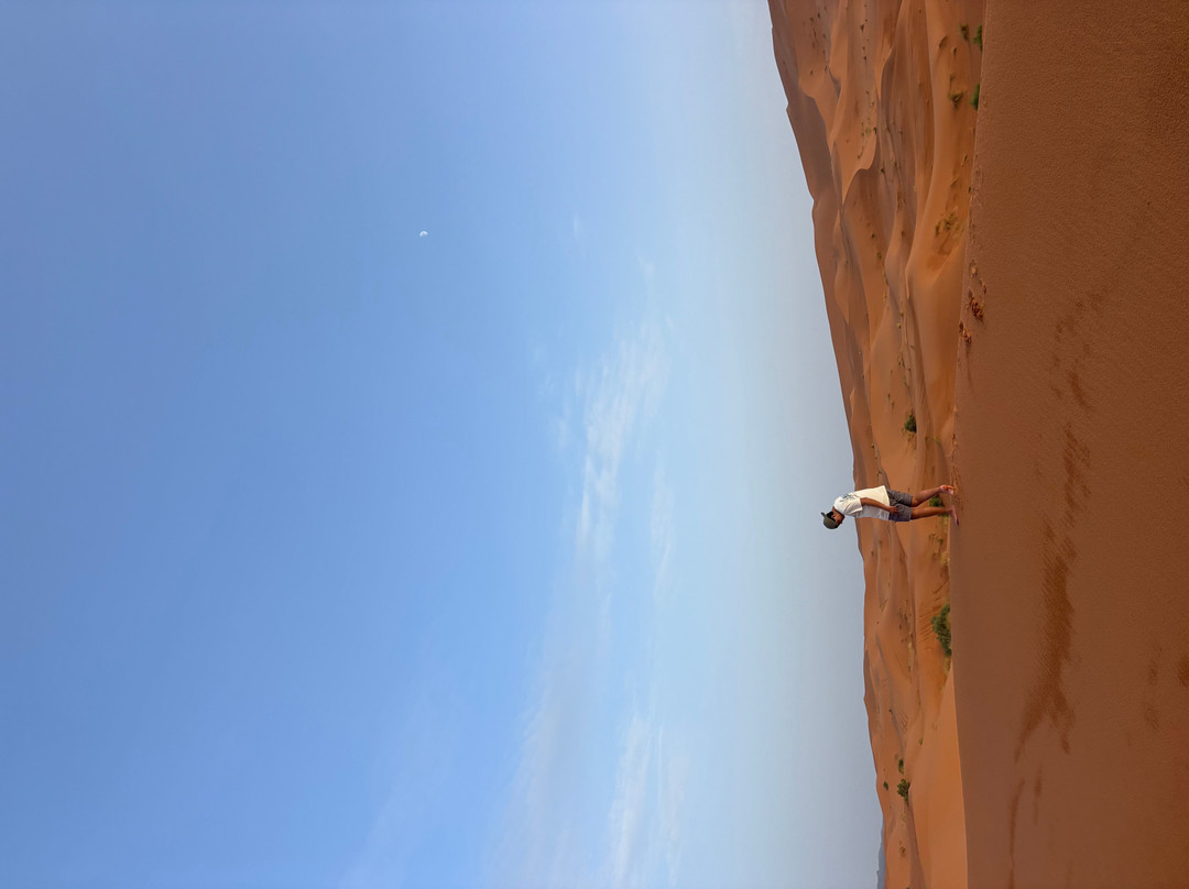 Agencia Marruecos Tours-非斯必去景点