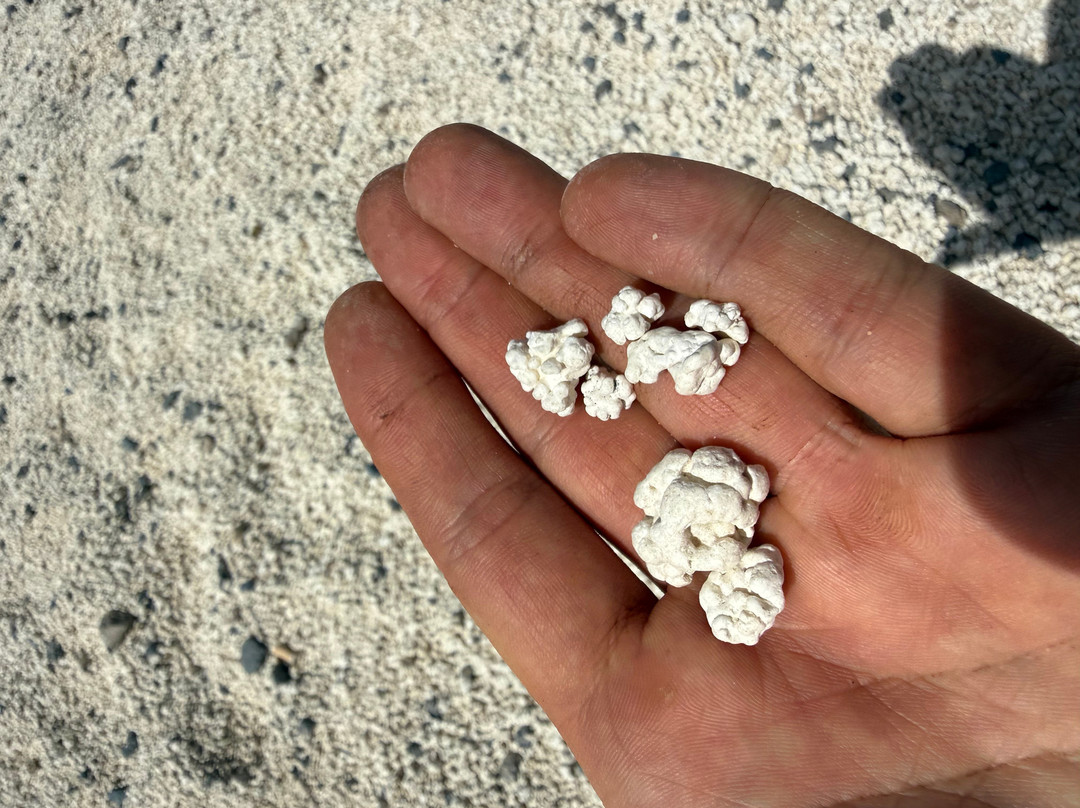 Popcorn Playa-科拉雷侯必去景点