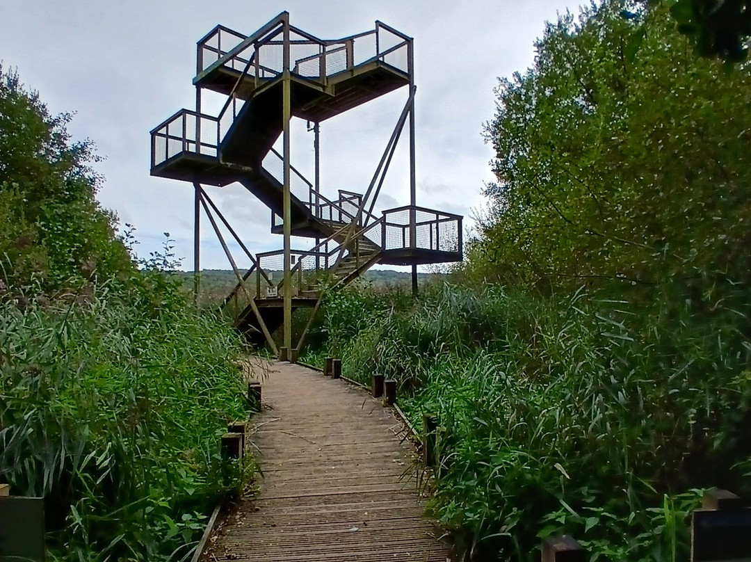 RSPB Leighton Moss Nature Reserve-Silverdale必去景点
