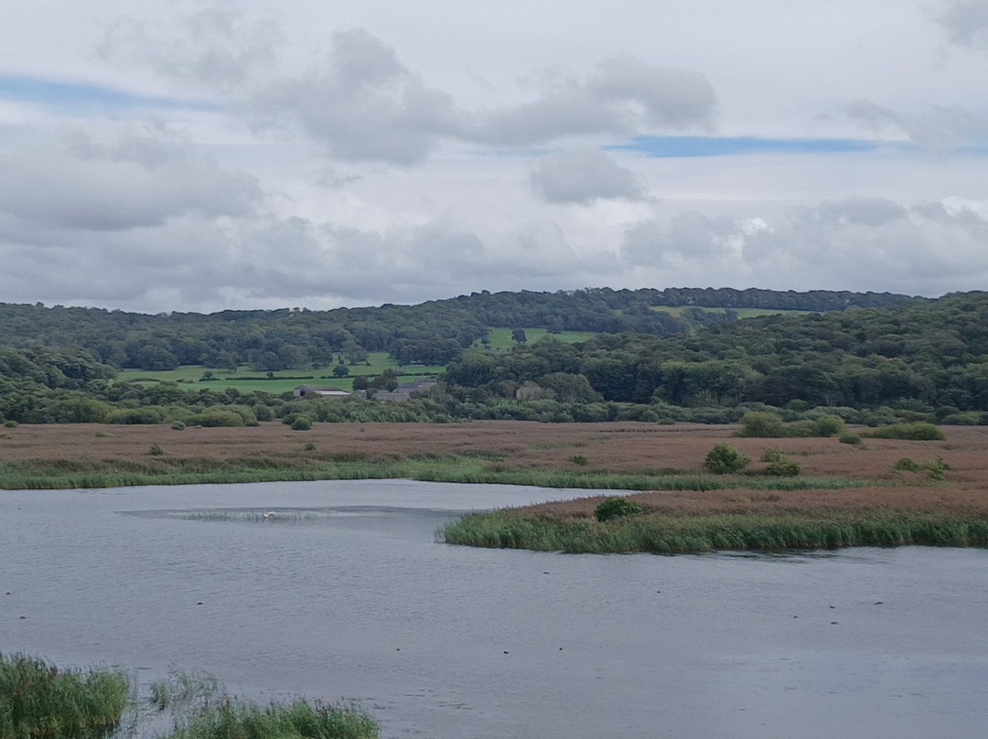 RSPB Leighton Moss Nature Reserve-Silverdale必去景点