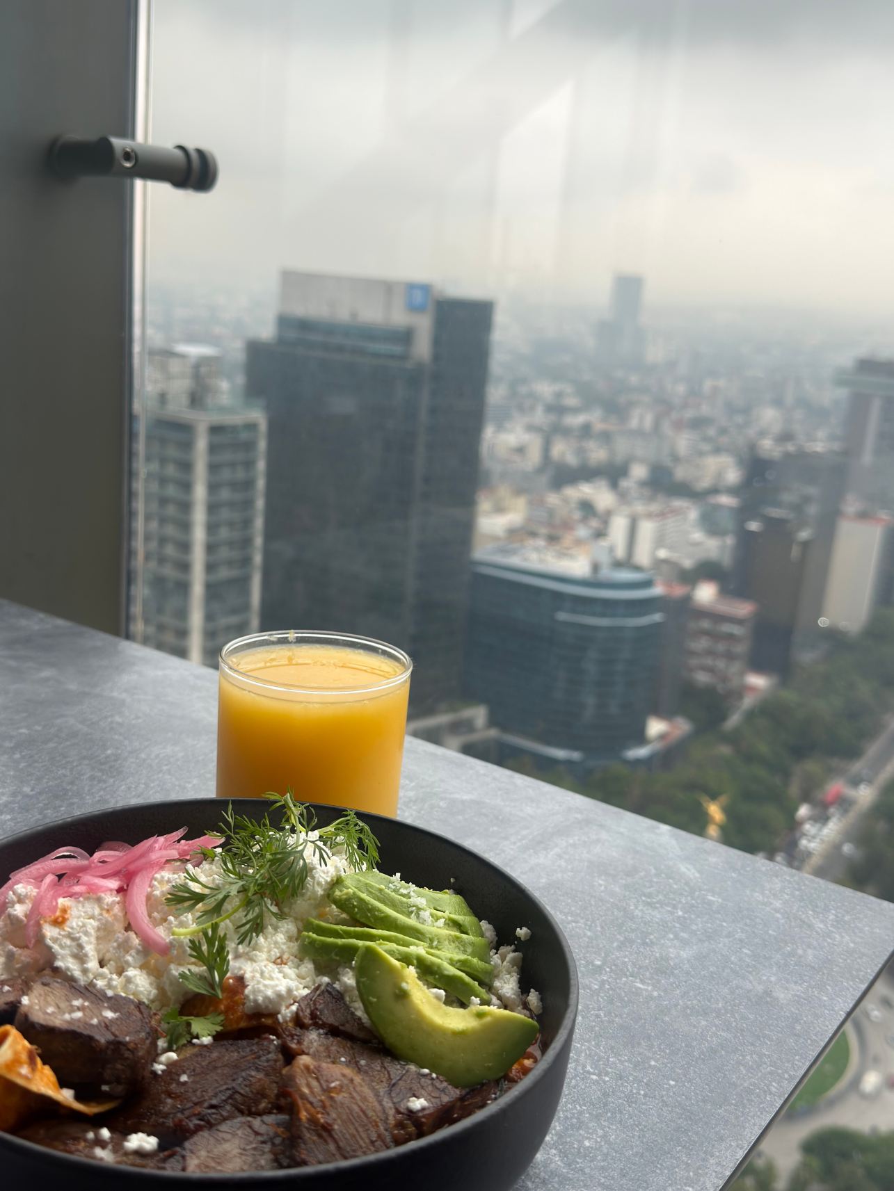 墨西哥城索菲特改革大道酒店-旅行者