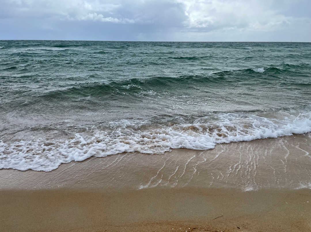 Safety Beach-Dromana必去景点