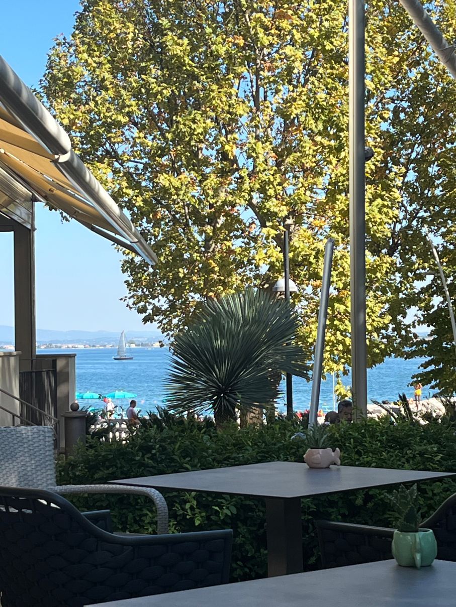 罗莎别墅酒店-旅行者