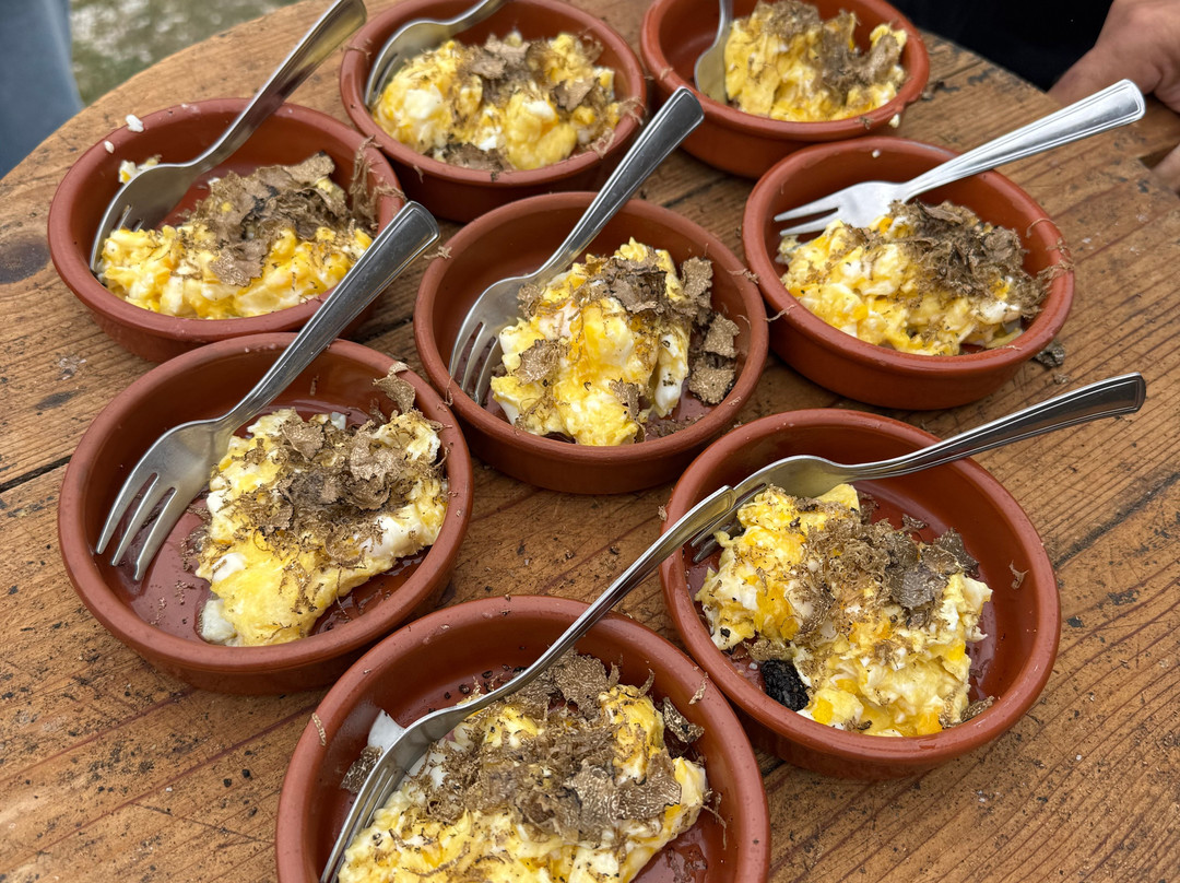 Wild Foods Italy-Montefalco必去景点