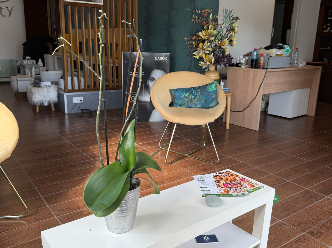 Serenity Quick Spa & Wellness-皮拉必去景点