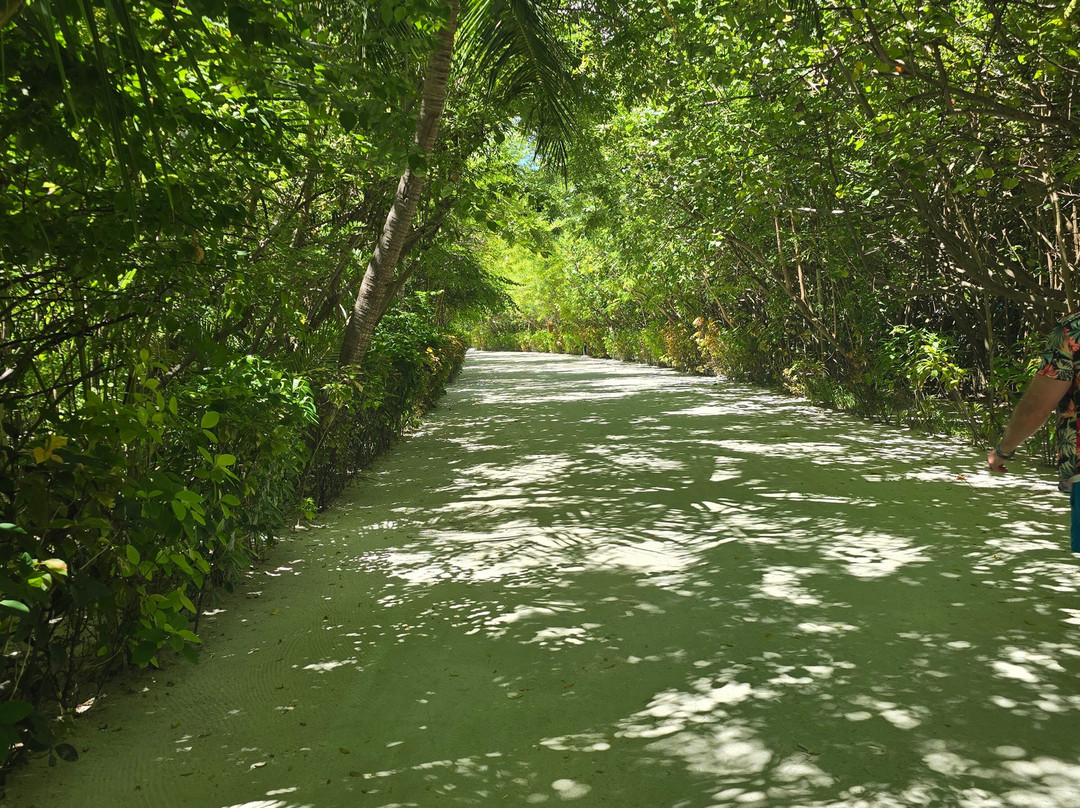 TUI BLUE Olhuveli Romance主图