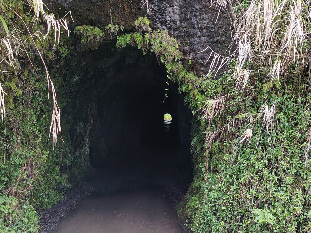 Ciao Tahiti Excursions 4x4 - Day Tours-普纳奥亚必去景点