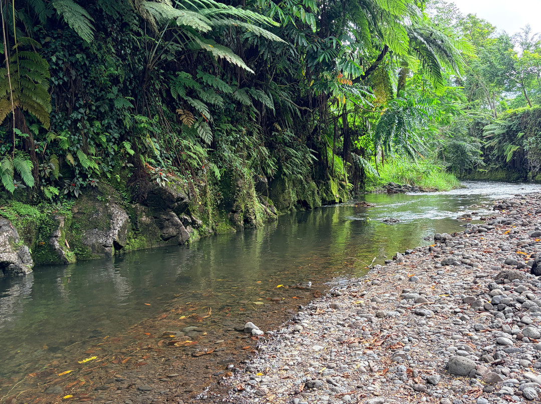 Togitogiga Waterfall-Upolu必去景点