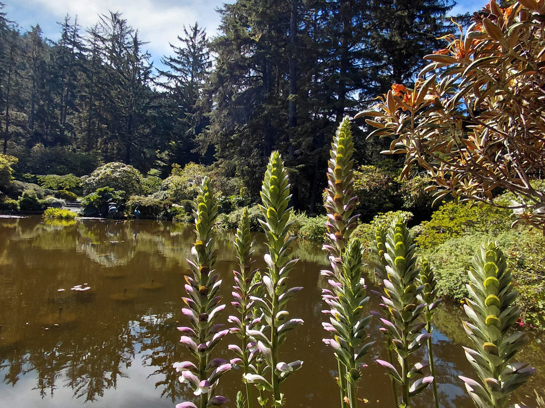 Shore Acres State Park-库斯贝必去景点