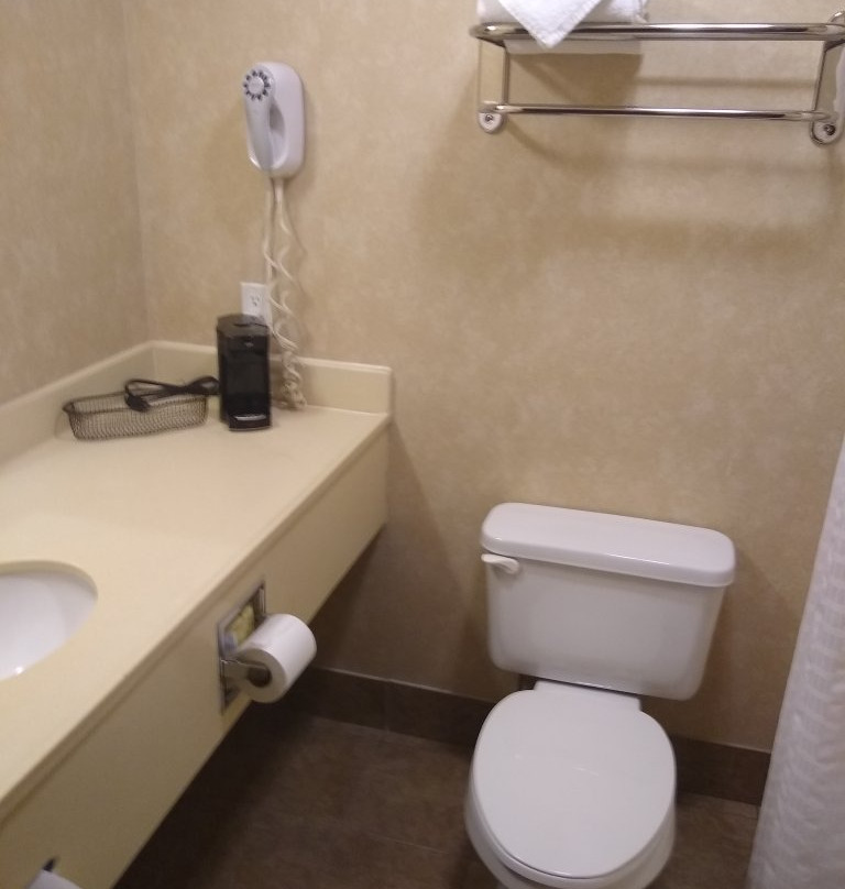 Comfort Inn & Suites Russellville I-40主图