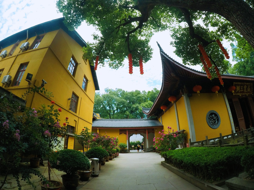 法喜寺景点图片