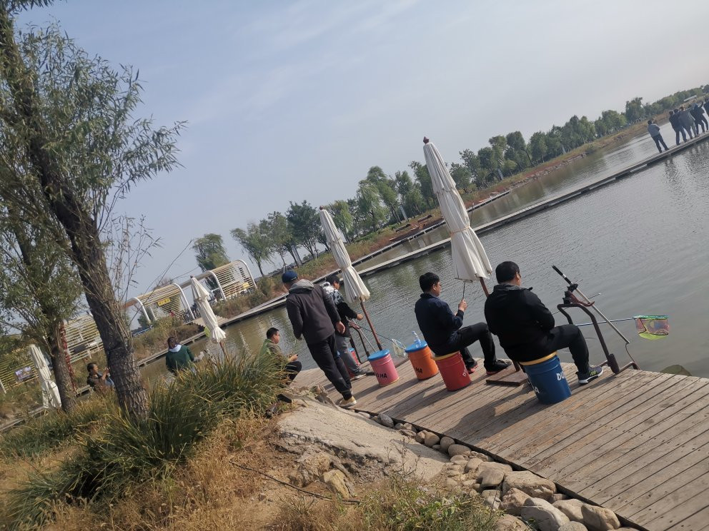 曹妃甸湿地景区