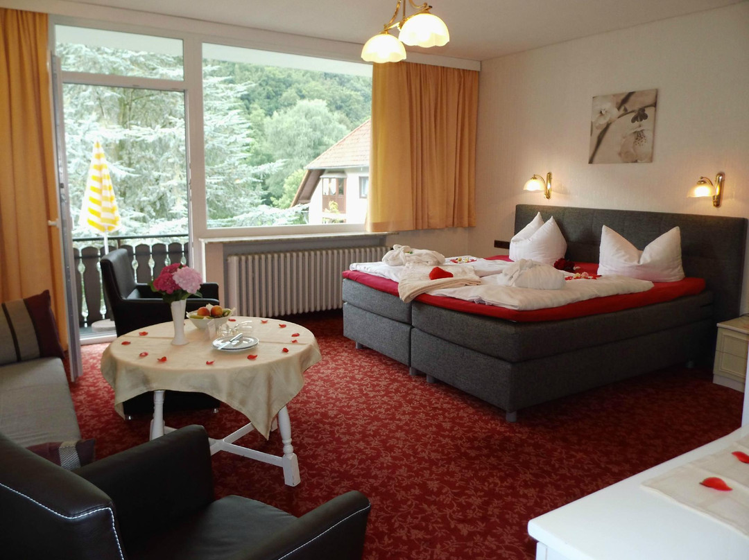 Bad Lauterberg酒店住宿-Parkhotel Weber Mueller