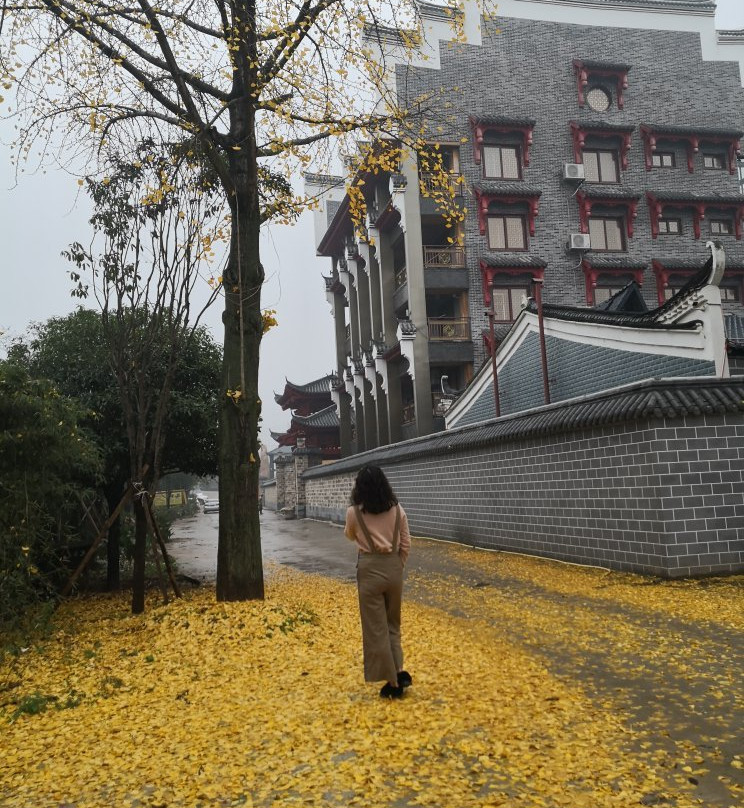 酃湖-衡阳市必去景点