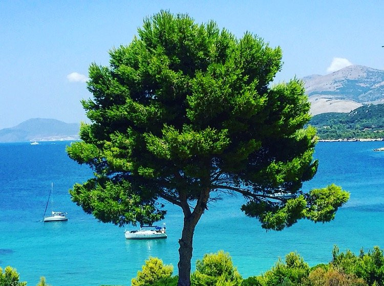 普拉提吉罗斯酒店住宿-Thalassa Boutique Hotel Kefalonia