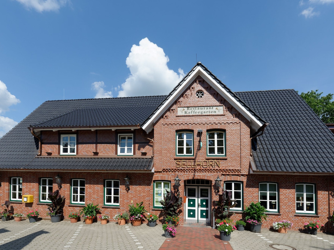 Goedenstorf酒店住宿-Ringhotel Sellhorn