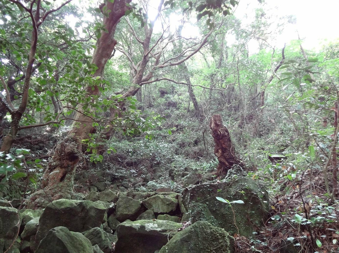 Kasayama Wind Cave-萩市必去景点