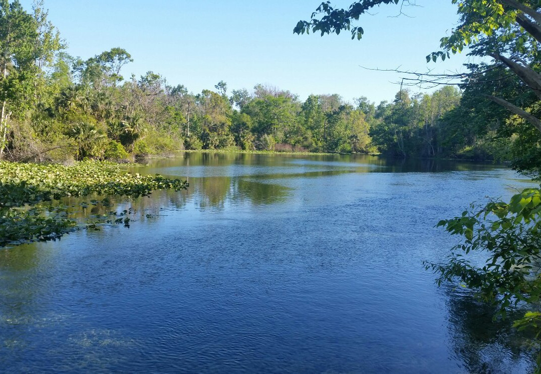 Wekiwa Springs State Park景点图片