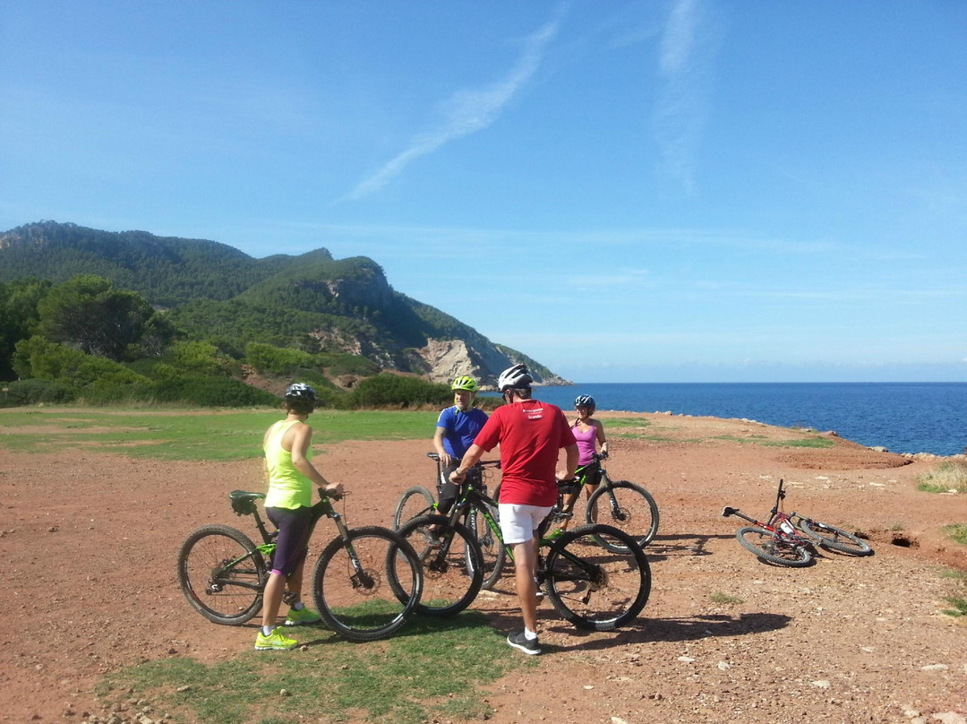 Bike Experience Mallorca景点图片
