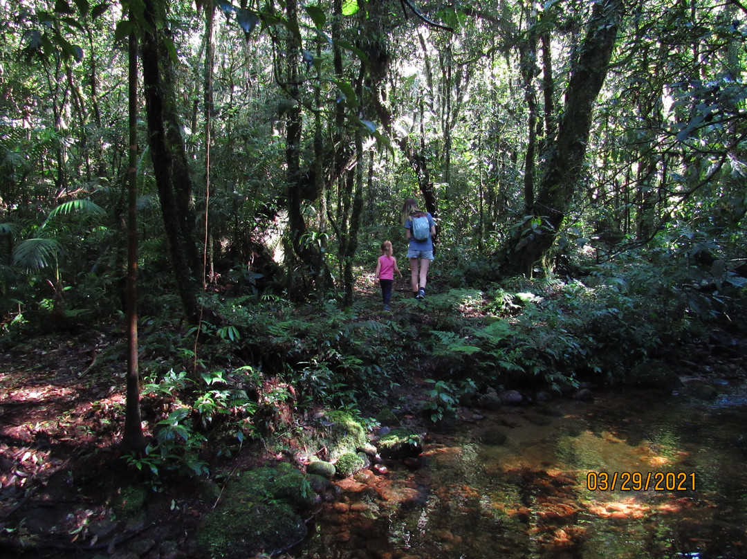 Muriqui Trilhas Ecologicas