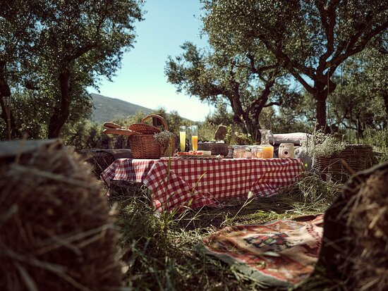 Picnic in Leeda's Farm景点图片