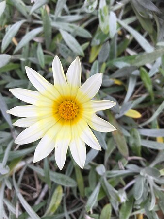 St James Memorial Anglican Church-Orbost必去景点