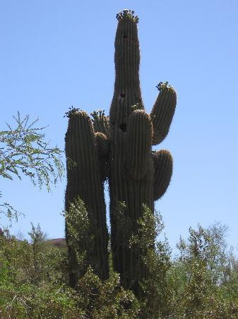 凤凰城动物园-凤凰城必去景点