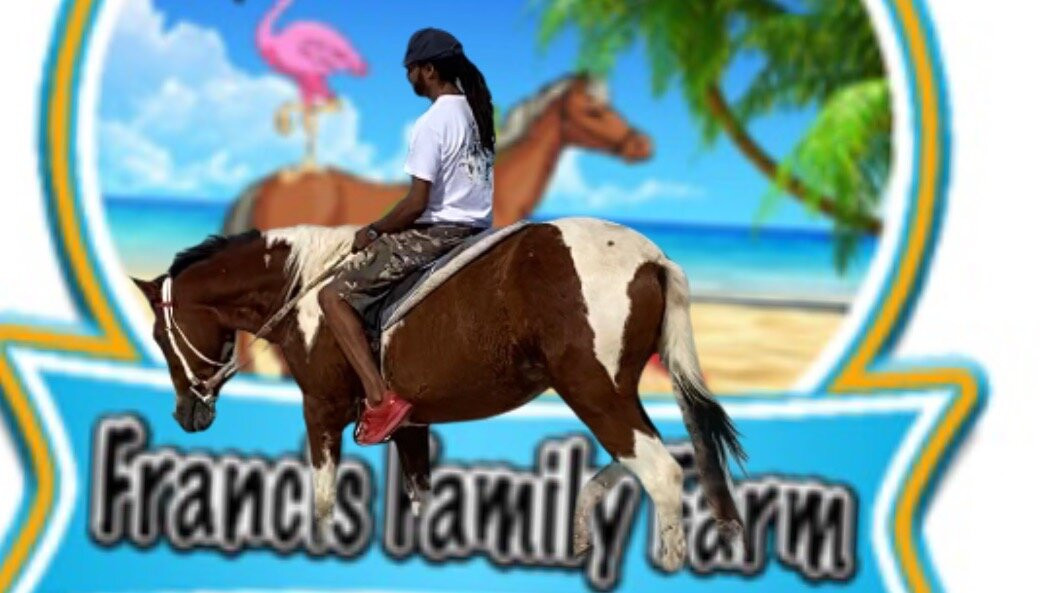 Francis Family Farm-Anegada必去景点