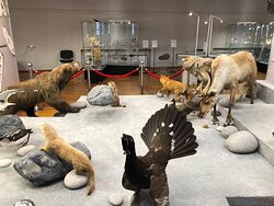 Magadan Regional Museum of Local Lore-Magadan必去景点