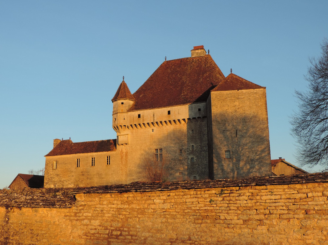 Château de Rosières景点图片