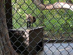 Brukner Nature Center-Troy必去景点