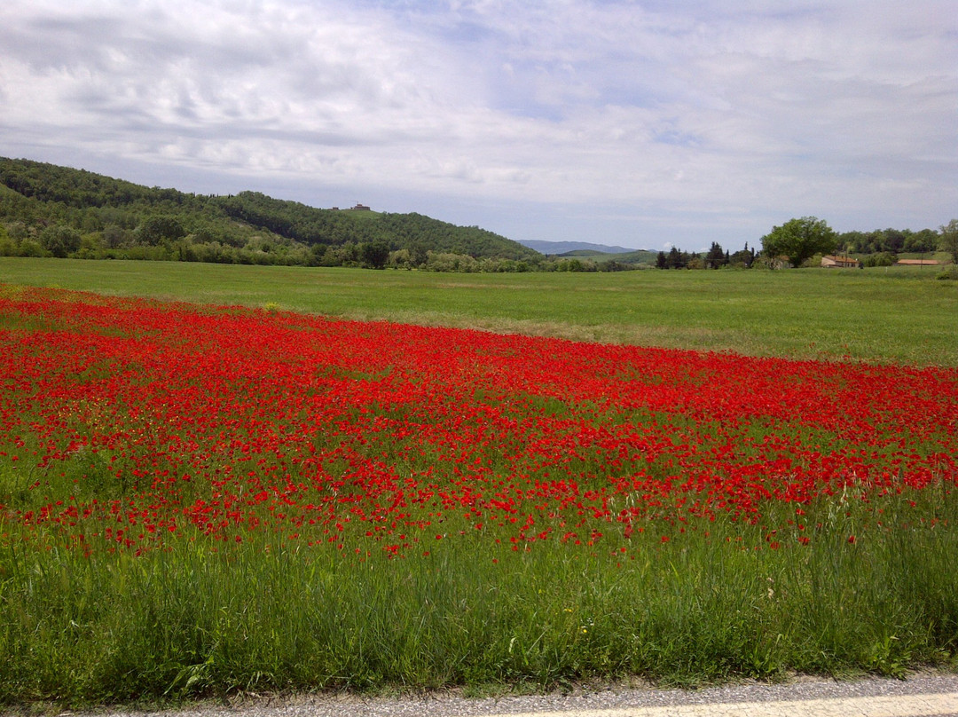 Tuscany Tours by Golden Travel景点图片