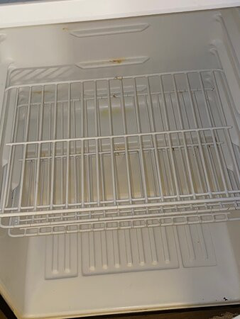 米尔顿快捷假日酒店主图