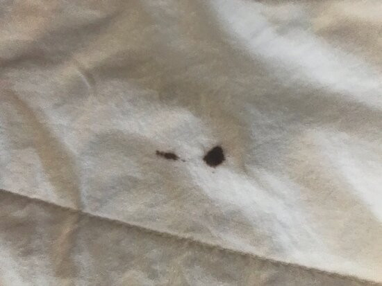 霍普金斯维尔费尔菲尔德旅馆&套房酒店主图