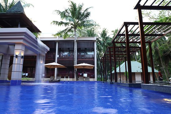 SeaShell Samssara主图