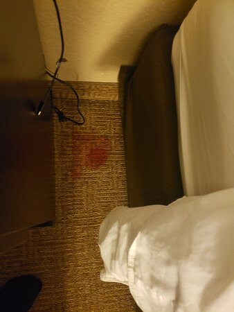 Quality Inn Surfside Myrtle Beach主图