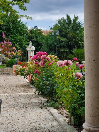 Château Pellisson主图